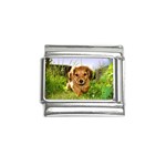 Puppy In Grass Italian Charm (9mm)