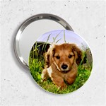 Puppy In Grass 2.25  Handbag Mirror