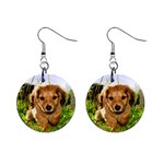 Puppy In Grass 1  Button Earrings