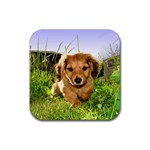 Puppy In Grass Rubber Coaster (Square)