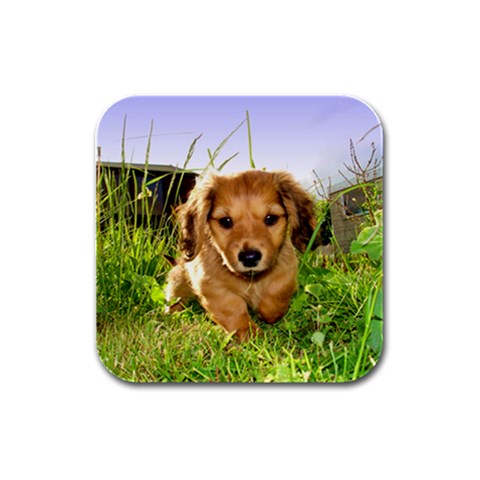Puppy In Grass Rubber Square Coaster (4 pack) from ArtsNow.com Front