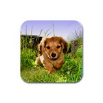 Puppy In Grass Rubber Square Coaster (4 pack)