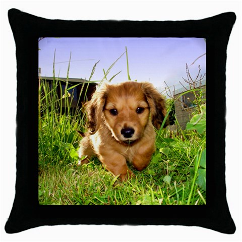 Puppy In Grass Throw Pillow Case (Black) from ArtsNow.com Front