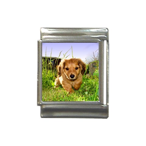 Puppy In Grass Italian Charm (13mm) from ArtsNow.com Front