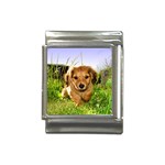 Puppy In Grass Italian Charm (13mm)