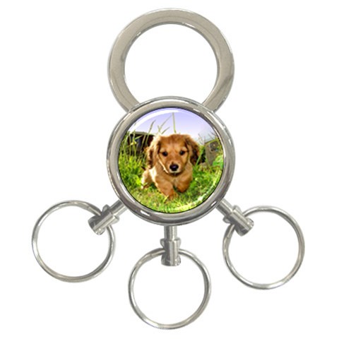 Puppy In Grass 3 Front