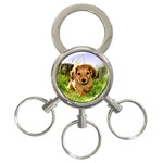 Puppy In Grass 3-Ring Key Chain