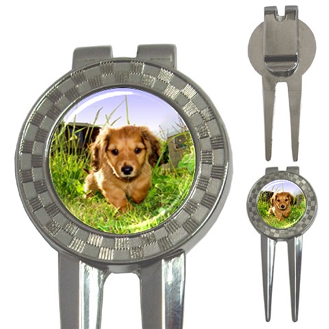 Puppy In Grass 3 Front