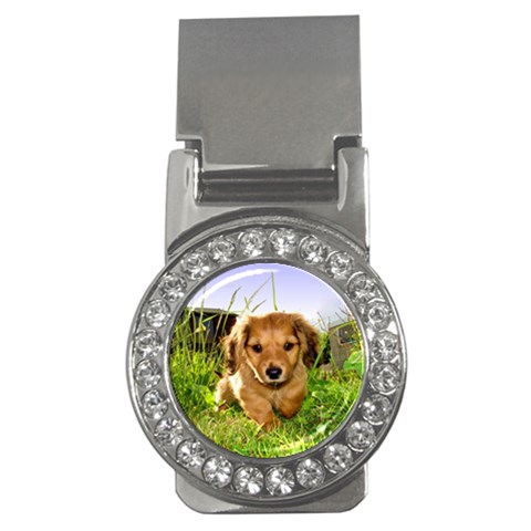 Puppy In Grass Money Clip (CZ) from ArtsNow.com Front