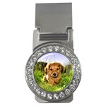 Puppy In Grass Money Clip (CZ)