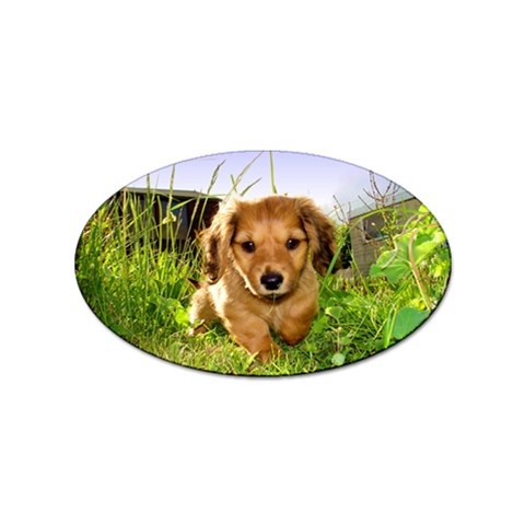 Puppy In Grass Sticker (Oval) from ArtsNow.com Front