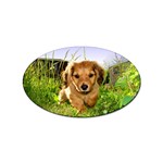 Puppy In Grass Sticker (Oval)