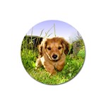 Puppy In Grass Magnet 3  (Round)