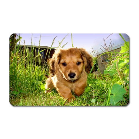 Puppy In Grass Magnet (Rectangular) from ArtsNow.com Front