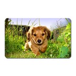 Puppy In Grass Magnet (Rectangular)