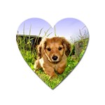 Puppy In Grass Magnet (Heart)