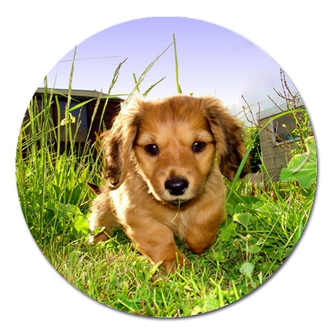 Puppy In Grass Magnet 5  (Round) from ArtsNow.com Front