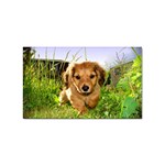 Puppy In Grass Sticker Rectangular (10 pack)