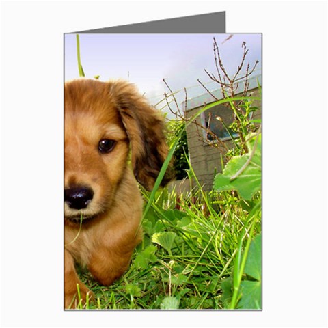 Puppy In Grass Greeting Card from ArtsNow.com Left
