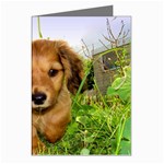 Puppy In Grass Greeting Cards (Pkg of 8)