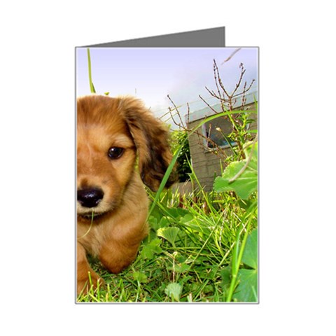Puppy In Grass Mini Greeting Card from ArtsNow.com Left