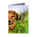 Puppy In Grass Mini Greeting Card