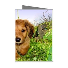 Puppy In Grass Mini Greeting Cards (Pkg of 8) from ArtsNow.com Left