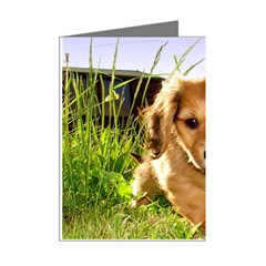 Puppy In Grass Mini Greeting Cards (Pkg of 8) from ArtsNow.com Right