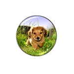 Puppy In Grass Hat Clip Ball Marker