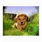 Puppy In Grass Small Glasses Cloth