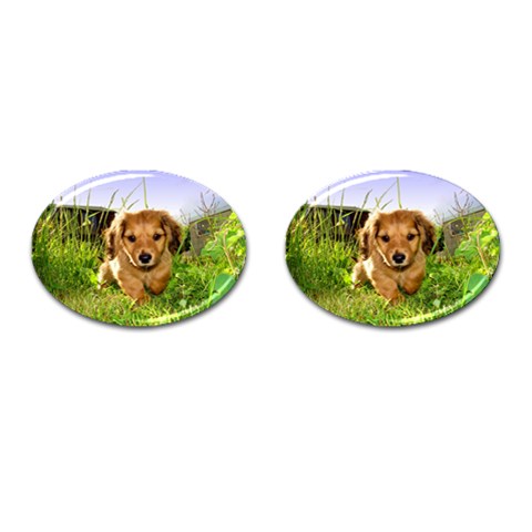 Puppy In Grass Cufflinks (Oval) from ArtsNow.com Front(Pair)