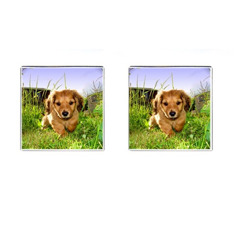Puppy In Grass Cufflinks (Square) from ArtsNow.com Front(Pair)