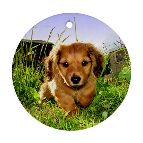 Puppy In Grass Round Ornament (Two Sides) from ArtsNow.com Front