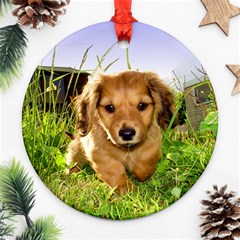 Puppy In Grass Round Ornament (Two Sides) from ArtsNow.com Front