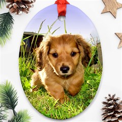 Puppy In Grass Oval Ornament (Two Sides) from ArtsNow.com Front