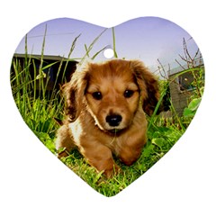 Puppy In Grass Heart Ornament (Two Sides) from ArtsNow.com Back