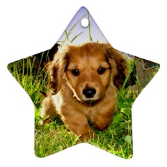 Puppy In Grass Star Ornament (Two Sides) from ArtsNow.com Front