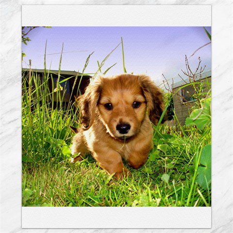 Puppy In Grass Canvas 8  x 10  from ArtsNow.com 8.15 x9.66  Canvas - 1