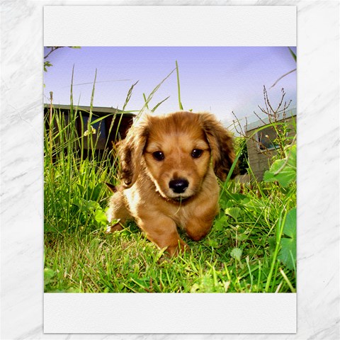 Puppy In Grass Canvas 12  x 16  from ArtsNow.com 11.86 x15.41  Canvas - 1