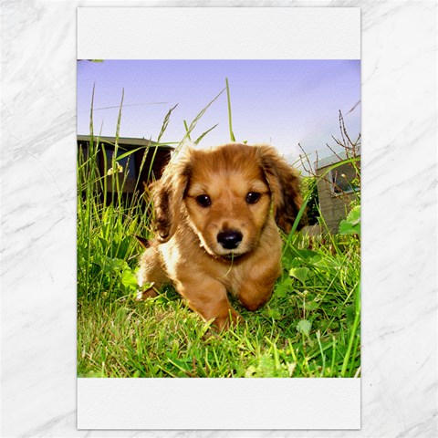 Puppy In Grass Canvas 24  x 36  from ArtsNow.com 23.35 x34.74  Canvas - 1