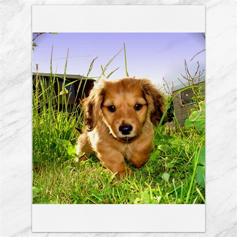 Puppy In Grass Canvas 36  x 48  from ArtsNow.com 35.26 x46.15  Canvas - 1
