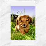 Puppy In Grass Canvas 40  x 72 