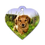 Puppy In Grass Dog Tag Heart (One Side)