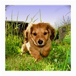 Puppy In Grass Medium Glasses Cloth