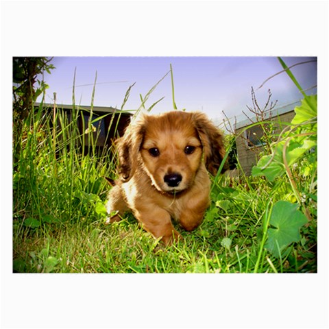 Puppy In Grass Large Glasses Cloth from ArtsNow.com Front