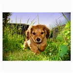 Puppy In Grass Large Glasses Cloth