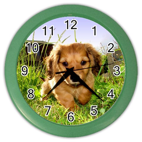 Puppy In Grass Color Wall Clock from ArtsNow.com Front