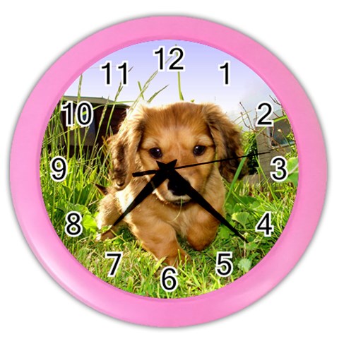Puppy In Grass Color Wall Clock from ArtsNow.com Front