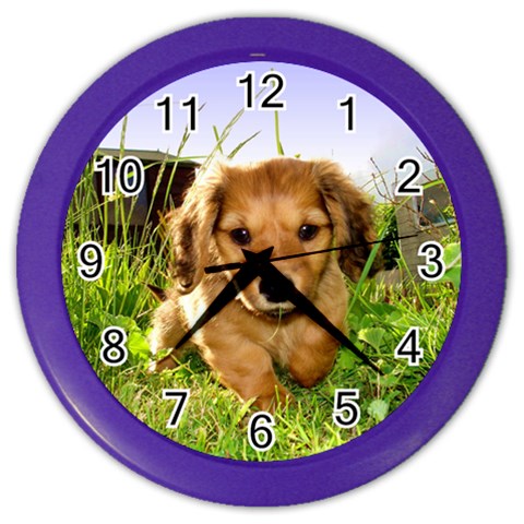 Puppy In Grass Color Wall Clock from ArtsNow.com Front