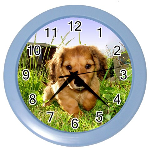 Puppy In Grass Color Wall Clock from ArtsNow.com Front
